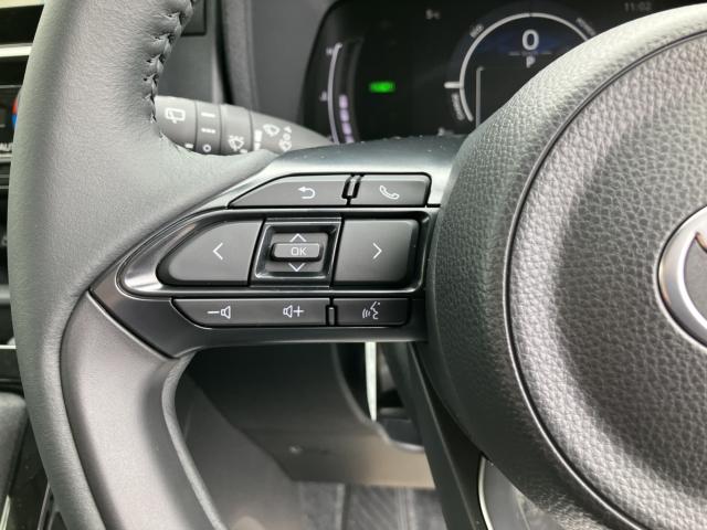 シエンタ（新潟県新潟市南区）画像11