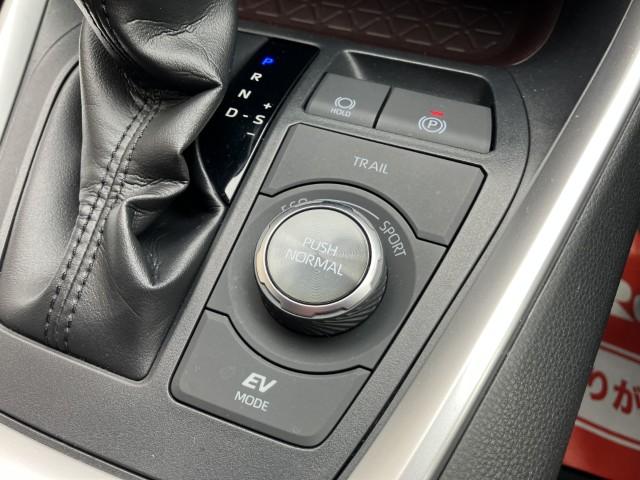 ＲＡＶ４（新潟県燕市）