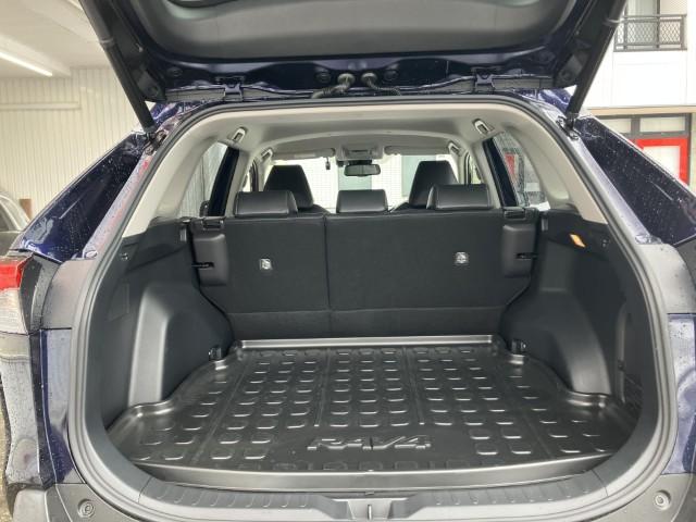 ＲＡＶ４（新潟県燕市）