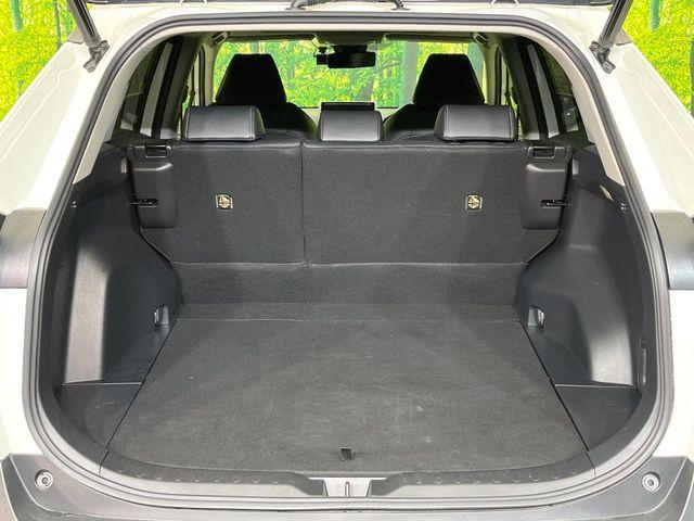 ＲＡＶ４（新潟県新潟市東区）