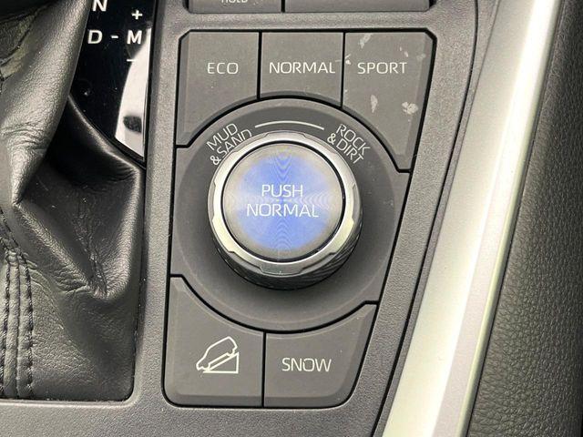 ＲＡＶ４（新潟県新潟市東区）