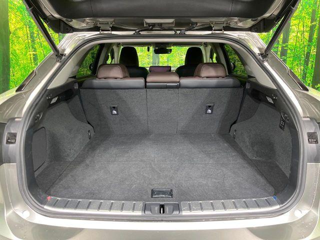 レクサスＲＸ（新潟県長岡市）画像60