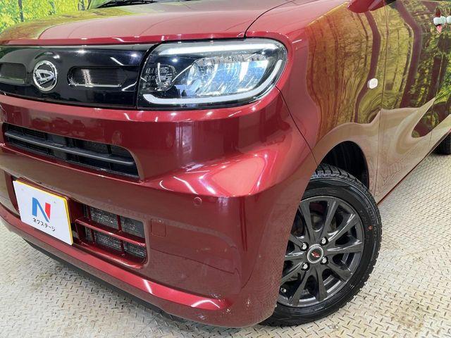 タント（新潟県新潟市南区）