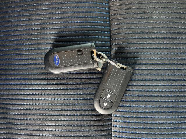 ステラ（新潟県新潟市北区）画像41