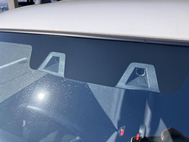 アルト（新潟県新潟市西蒲区）