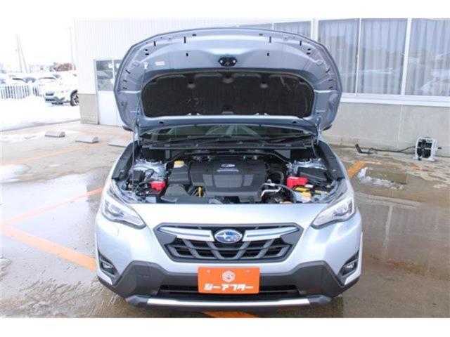 スバルXV（新潟県新潟市東区）