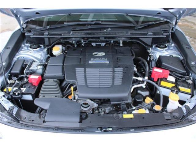 スバルXV（新潟県新潟市東区）