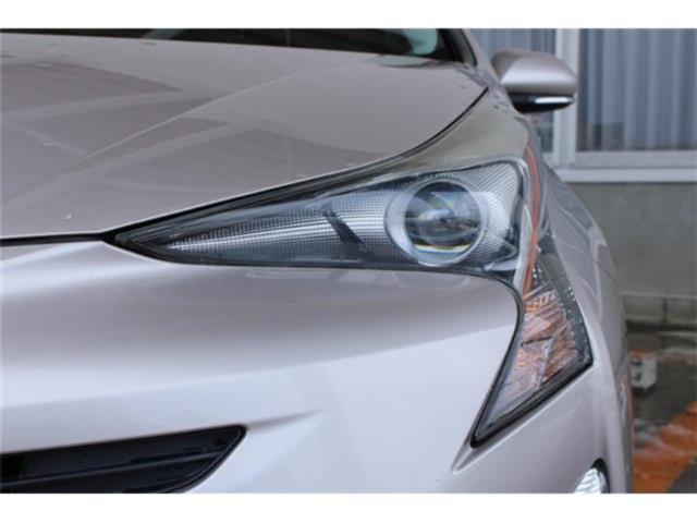 プリウス（新潟県新潟市東区）