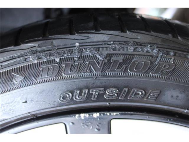 プリウス（新潟県新潟市東区）