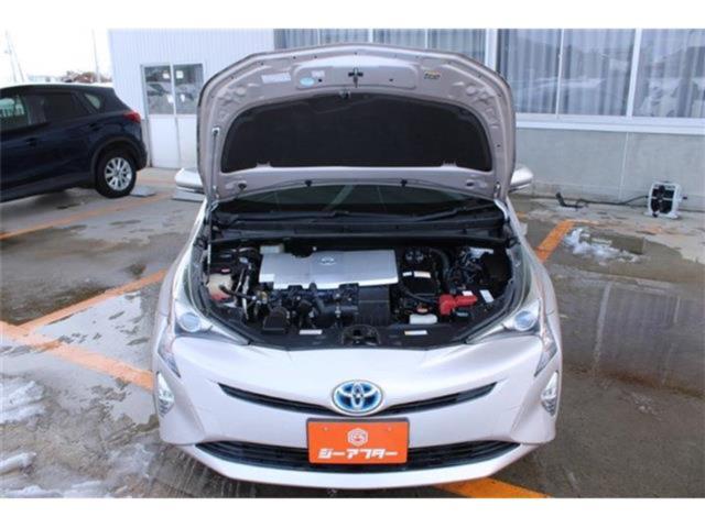 プリウス（新潟県新潟市東区）