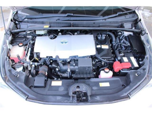 プリウス（新潟県新潟市東区）