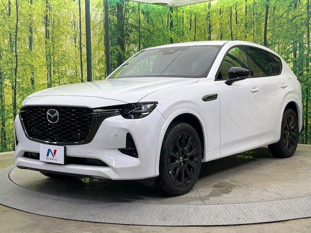 CX-60（新潟県新潟市南区）画像23