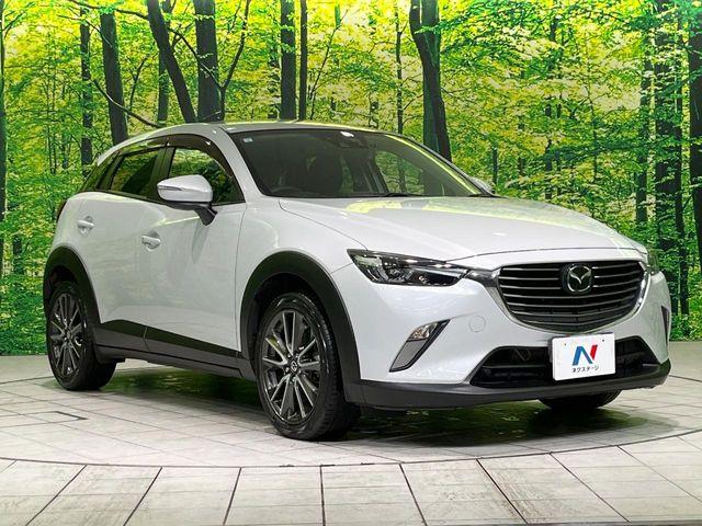 CX-3（新潟県長岡市）画像16