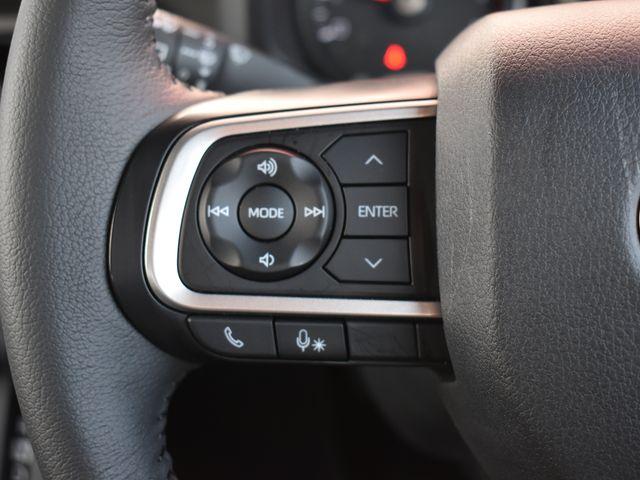 タフト（新潟県上越市）