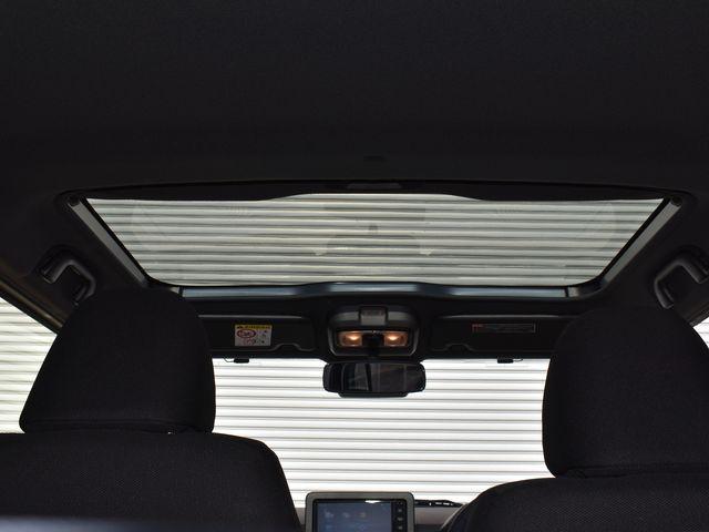 タフト（新潟県上越市）