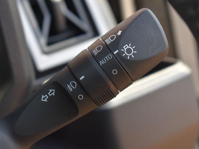 タフト（新潟県上越市）