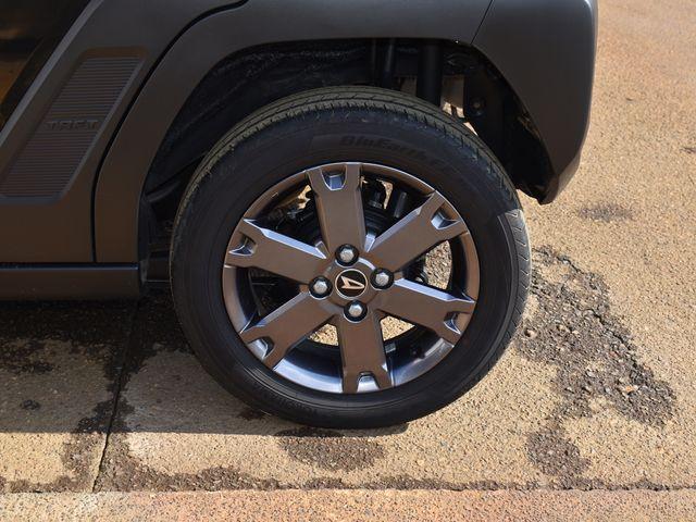 タフト（新潟県上越市）