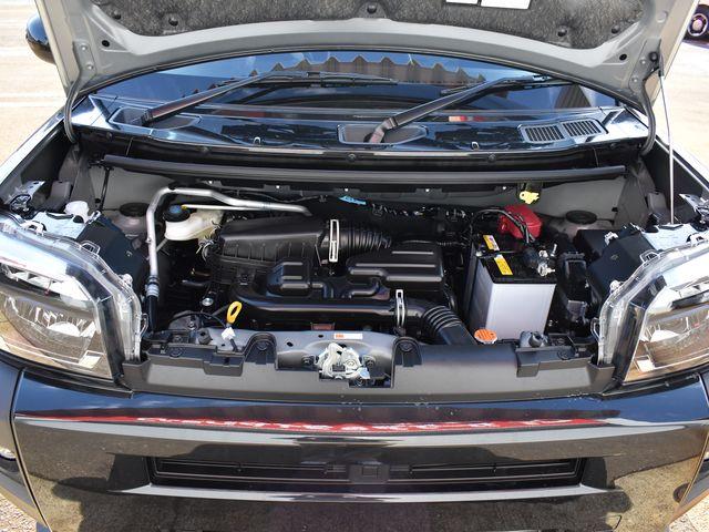 タフト（新潟県上越市）