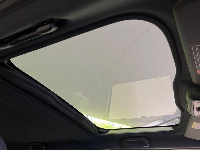 タフト（新潟県新潟市南区）画像3