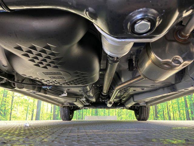 タフト（新潟県新潟市南区）画像19