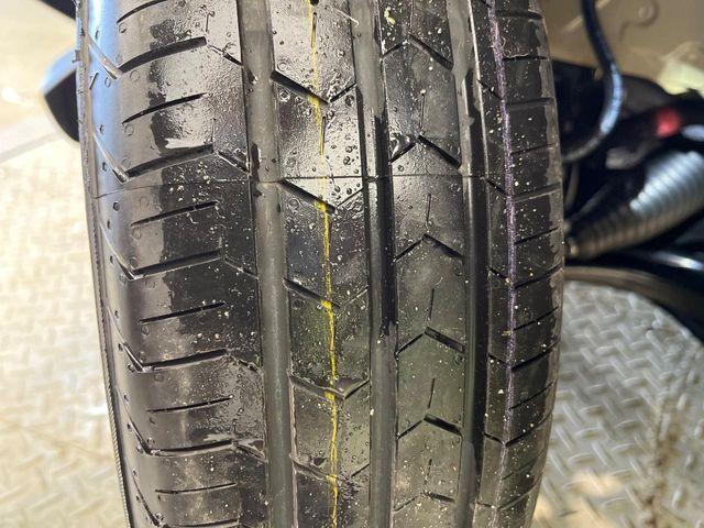 タフト（新潟県新潟市南区）画像26