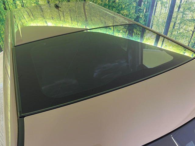 タフト（新潟県新潟市南区）画像32