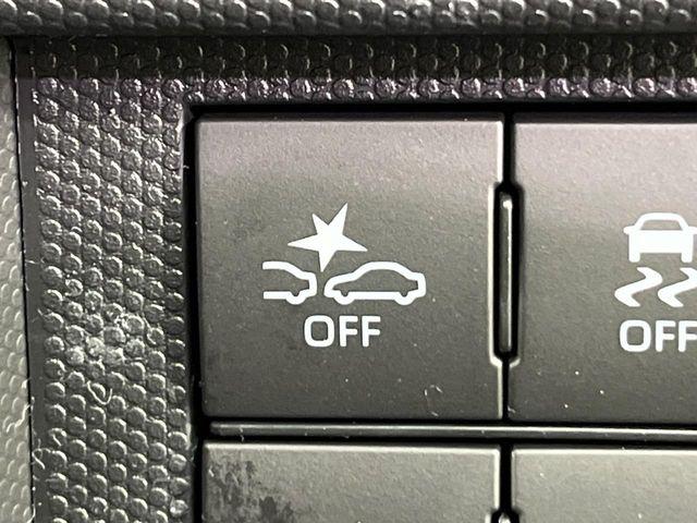 タフト（新潟県新潟市南区）画像52