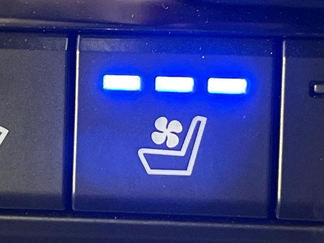 CX-60（新潟県新潟市南区）画像7