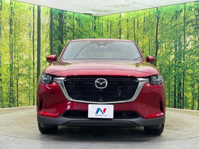 CX-60（新潟県新潟市南区）画像14