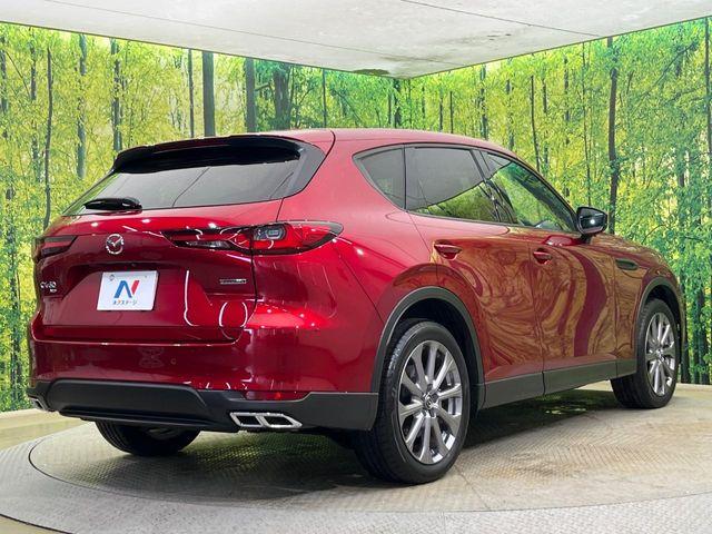 CX-60（新潟県新潟市南区）画像17