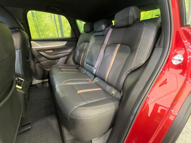 CX-60（新潟県新潟市南区）画像46