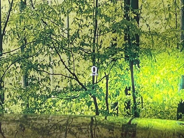 CX-60（新潟県新潟市南区）画像49