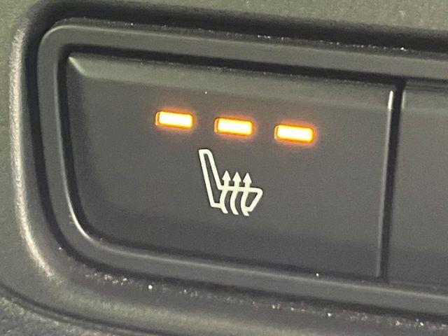 CX-60（新潟県新潟市南区）画像59