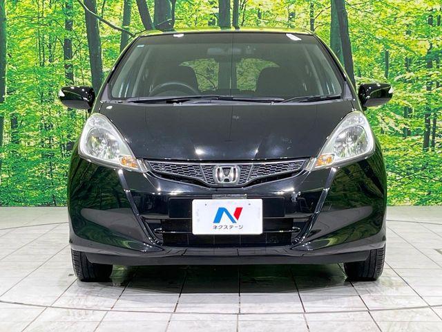 フィット（新潟県長岡市）