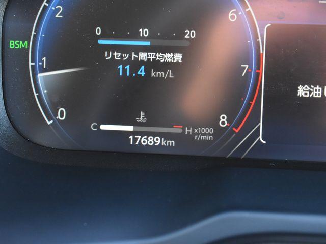 ＲＡＶ４（新潟県上越市）画像46