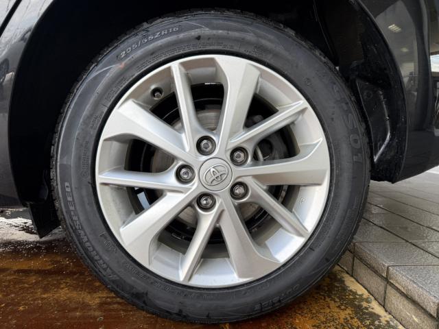 オーリス（新潟県長岡市）