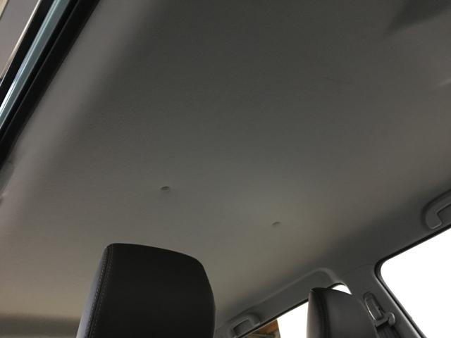 ハスラー（新潟県新潟市西区）