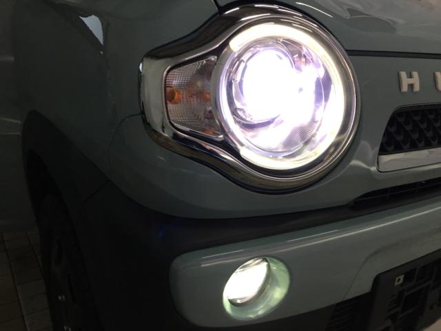 ハスラー（新潟県新潟市西区）