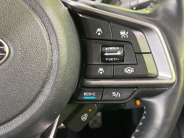 フォレスター（新潟県長岡市）