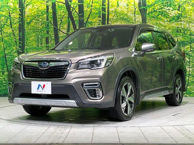 フォレスター（新潟県長岡市）