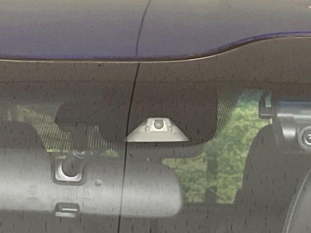 フリード（新潟県長岡市）