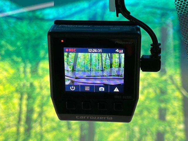 フリード（新潟県長岡市）