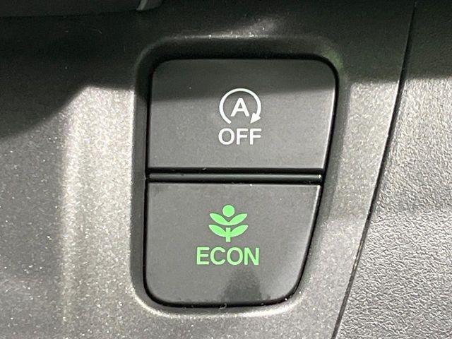 フリード（新潟県長岡市）