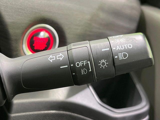 フリード（新潟県長岡市）