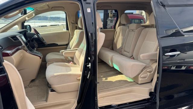 ヴェルファイア（新潟県長岡市）