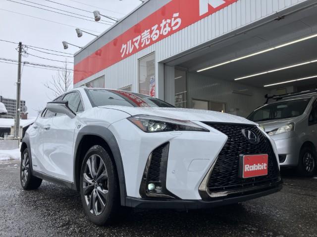 レクサスUX（新潟県燕市）