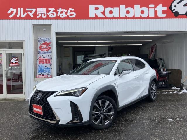 レクサスUX（新潟県燕市）
