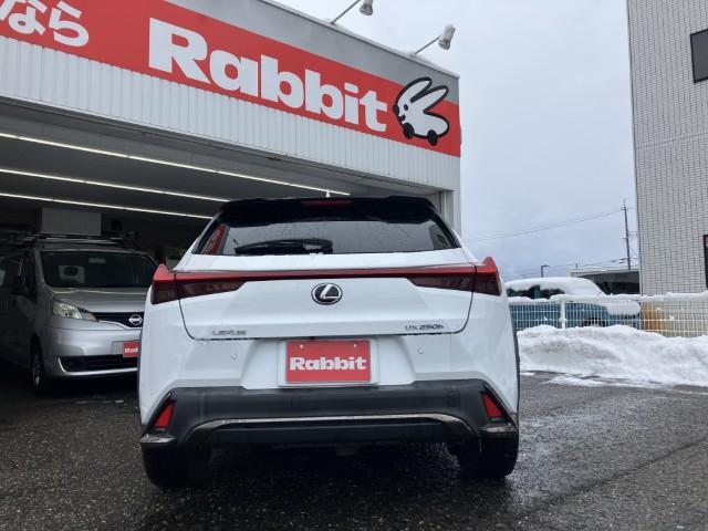 レクサスUX（新潟県燕市）