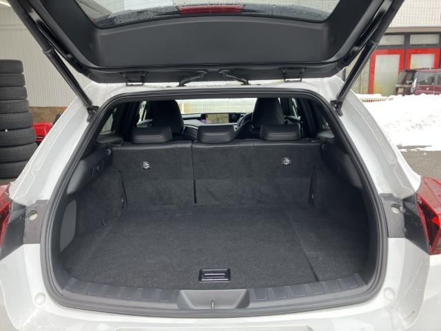 レクサスUX（新潟県燕市）