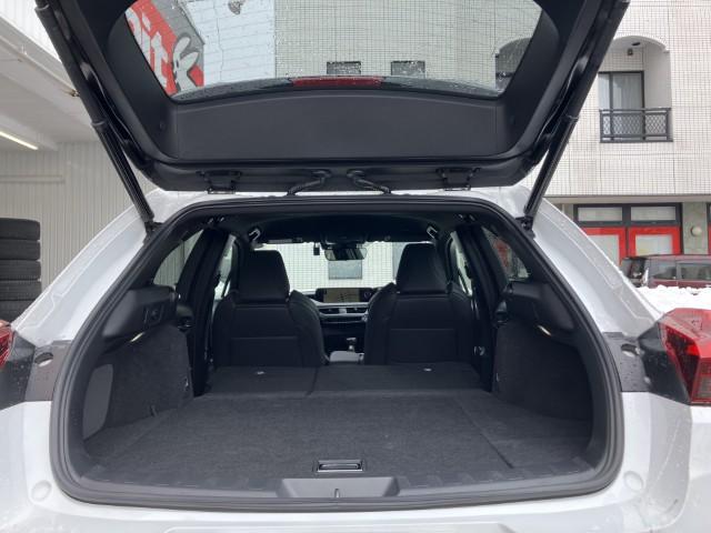 レクサスUX（新潟県燕市）